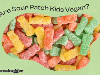 are sour patch kids vegan photo illo