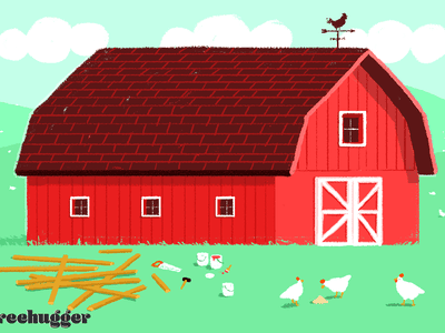 The exterior of red barn with planks of wood, a saw, and a few chickens in front of it